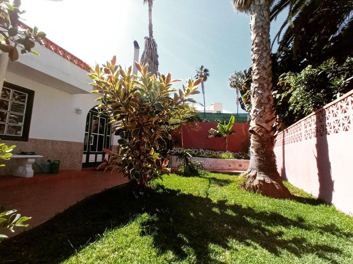 Finca Los Pajaritos Villa Icod De Los Vinos Buitenkant foto